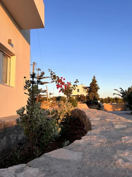 אדאמאס Theasis Apartments מראה חיצוני תמונה